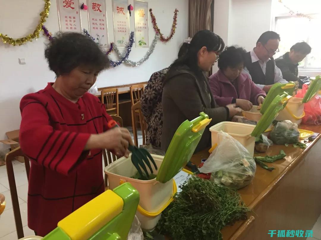 厨余堆肥：让食物残渣成为植物的养分 (厨余堆肥怎么用)