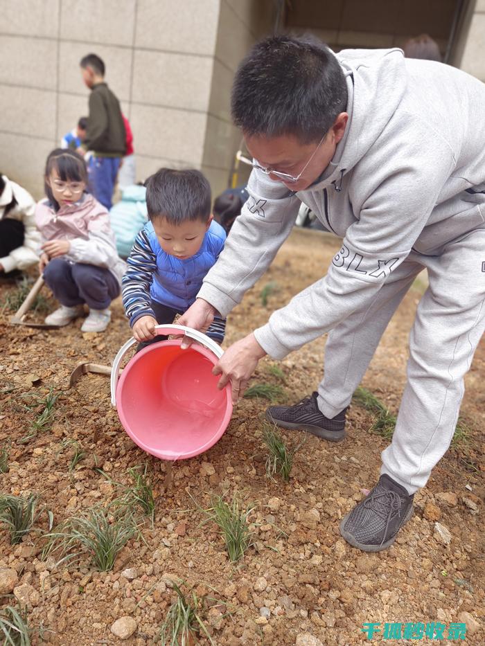 植树节绿色让生活更美好
