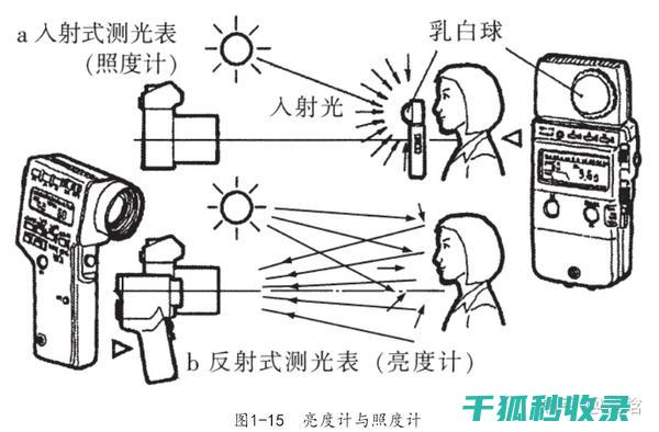 依据条件进行作物布局