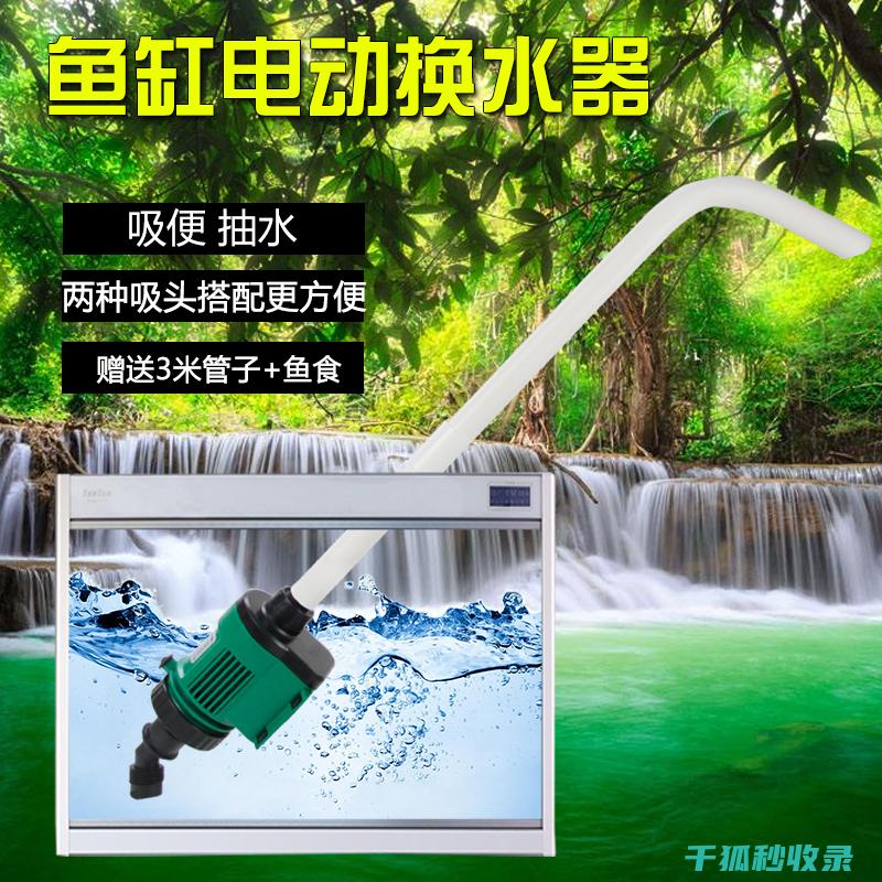 水族箱清洁小贴士：快速提升水质的小技巧 (水族箱清洁小妙招)