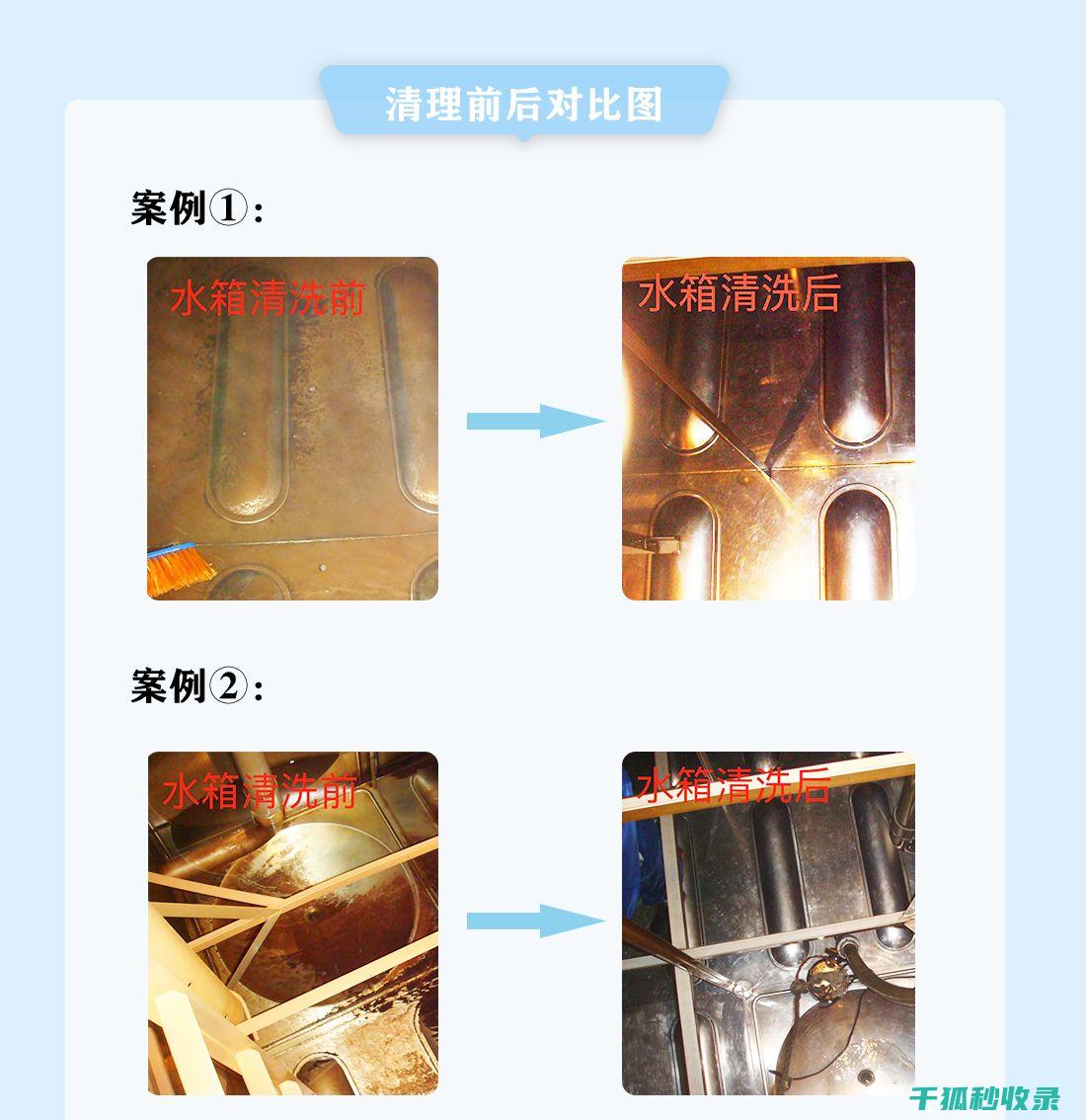 水族箱清洁误区：频繁清洗过滤器的弊端 (水族箱清洁误差多少)