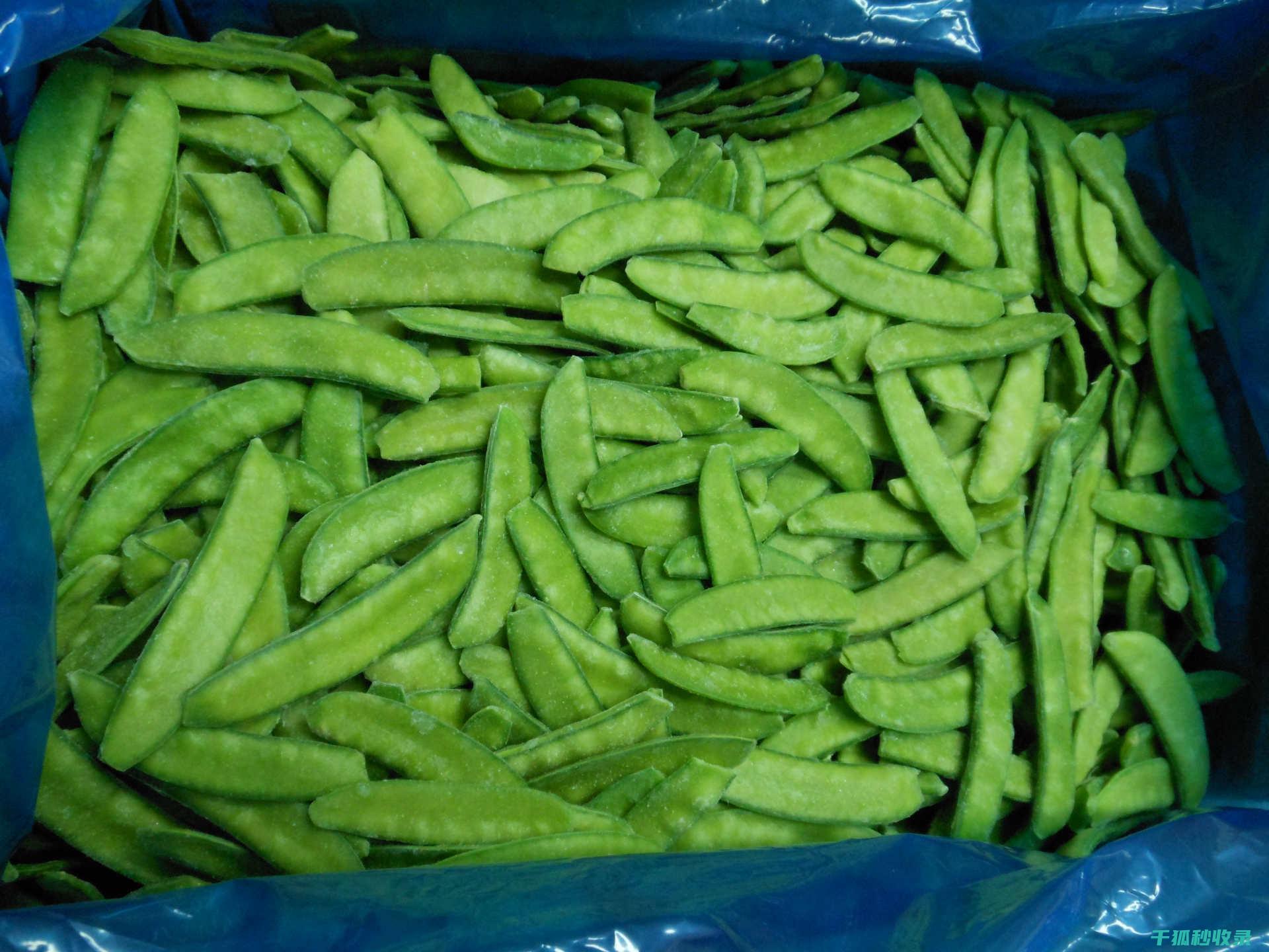 冷冻蔬菜快速解冻：简单几步轻松搞定 (冷冻蔬菜快速解冻方法)